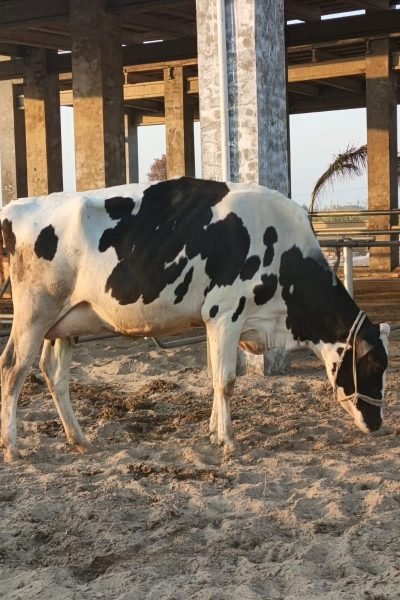 PHOTO-2025-12-24-17-11-41